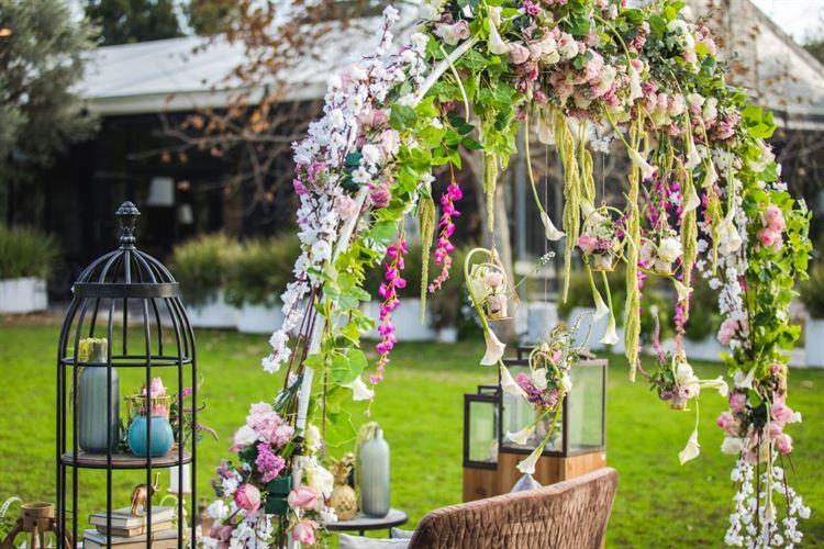 צילום: וואלה מזל טוב