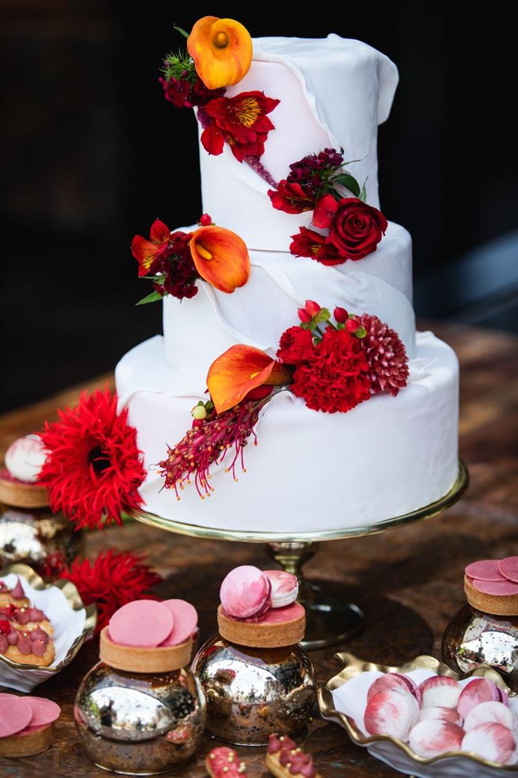 צילום: וואלה מזל טוב