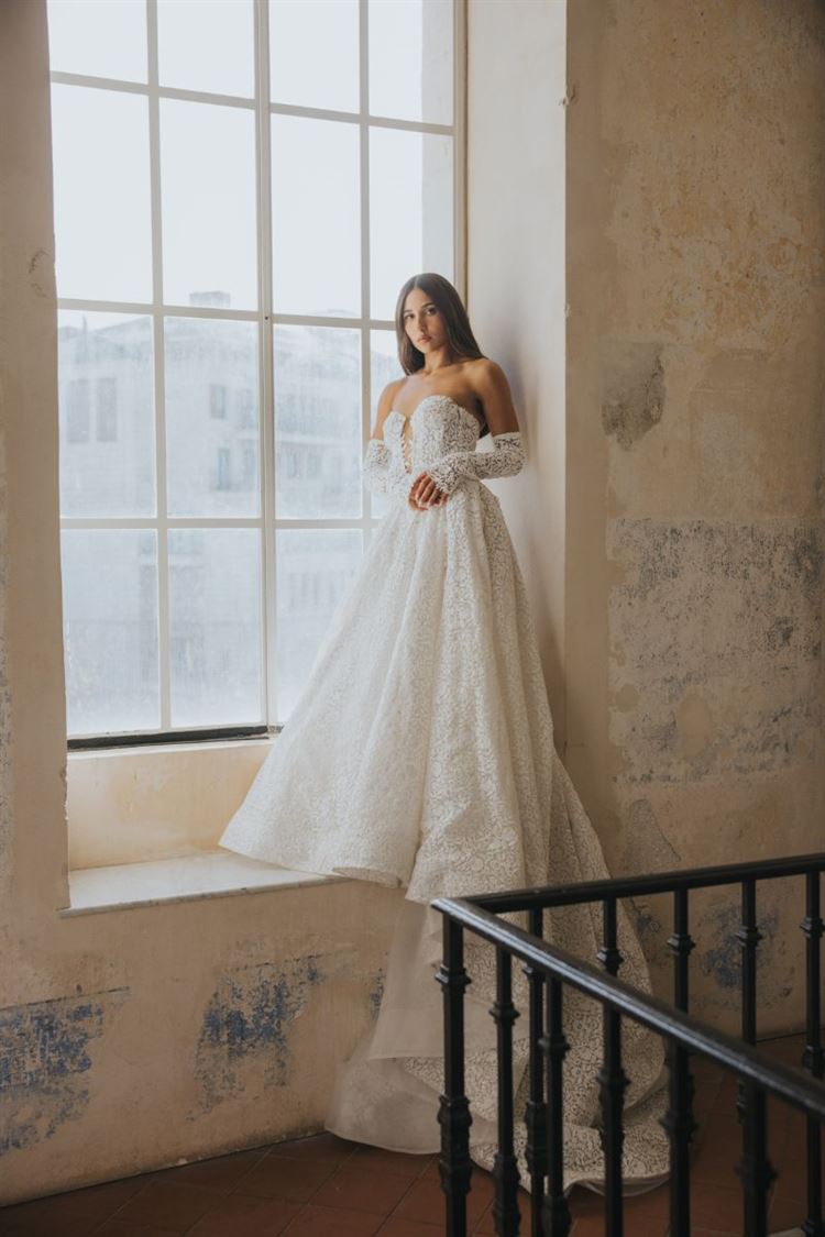 צילום: עידן חסון