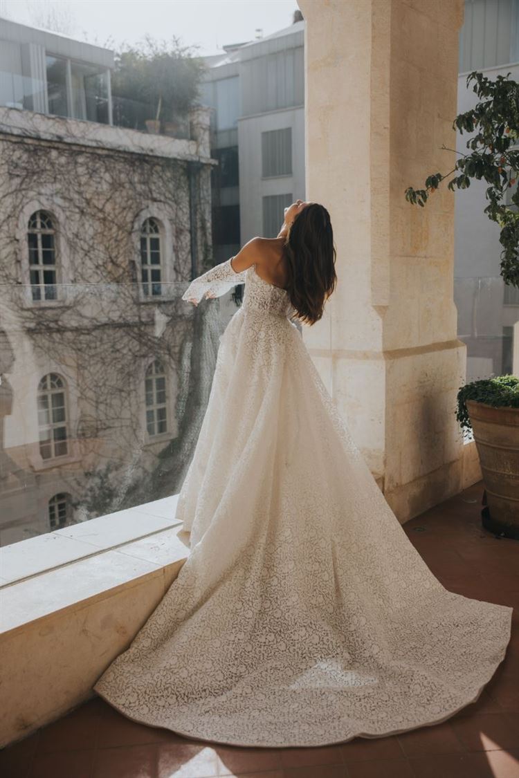 צילום: עידן חסון