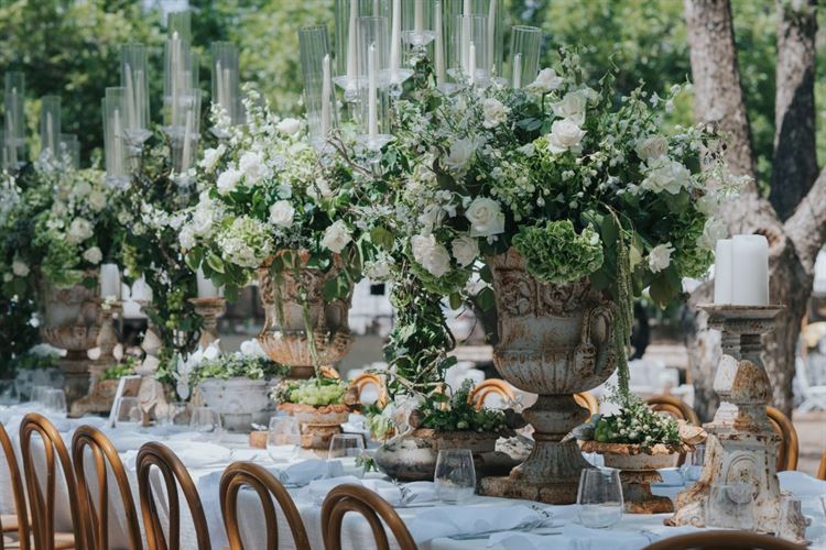 צילום: עידן חסון