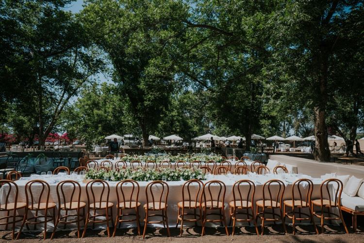 צילום: עידן חסון