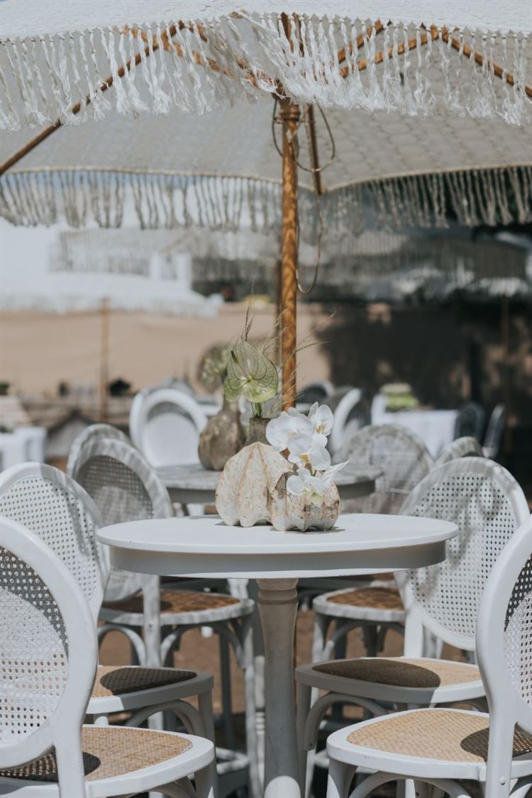 צילום: עידן חסון