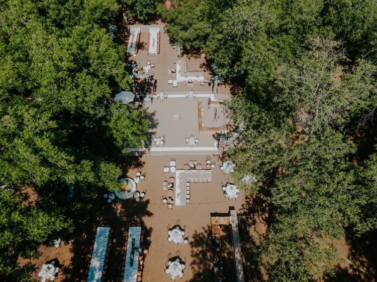 צילום: עידן חסון