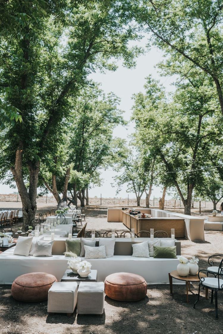 צילום: עידן חסון