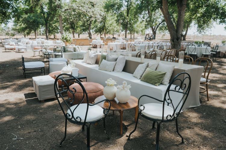 צילום: עידן חסון