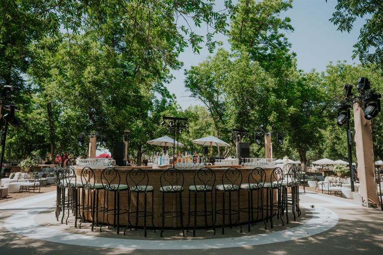 צילום: עידן חסון