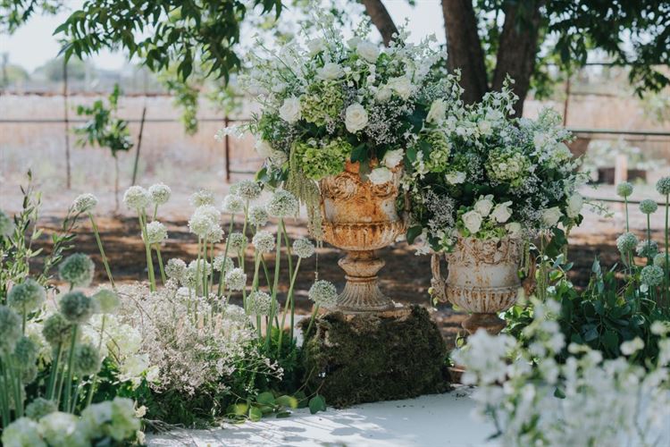 צילום: עידן חסון