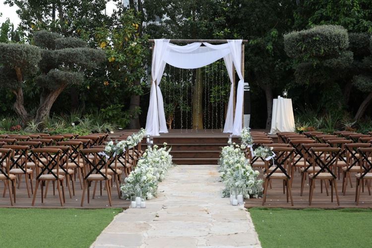 צילום: ששון משה