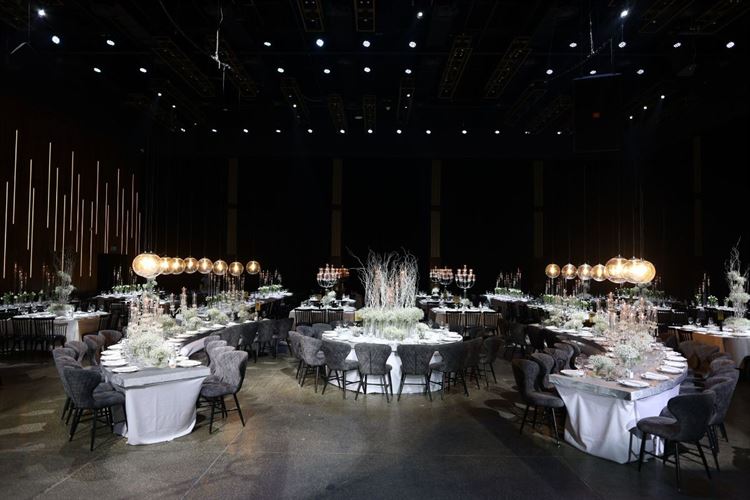 צילום: ברנז'ה צלמים