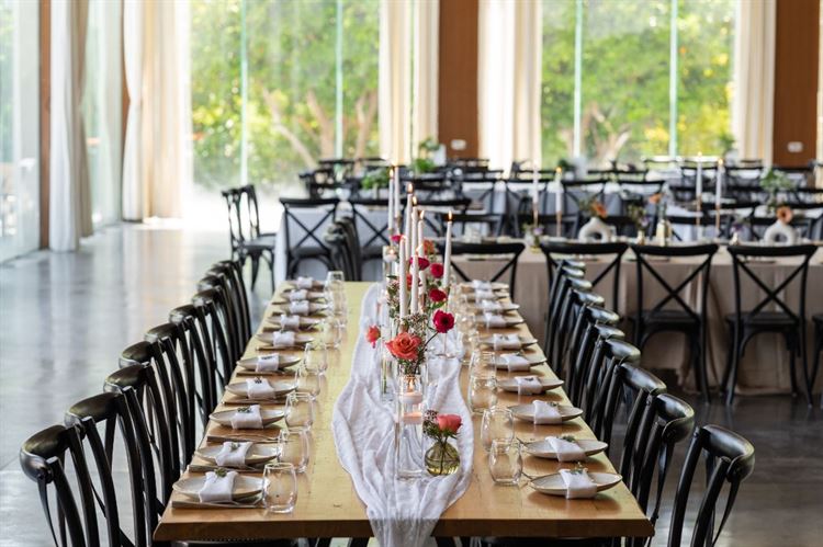 צילום: וואלה מזל טוב