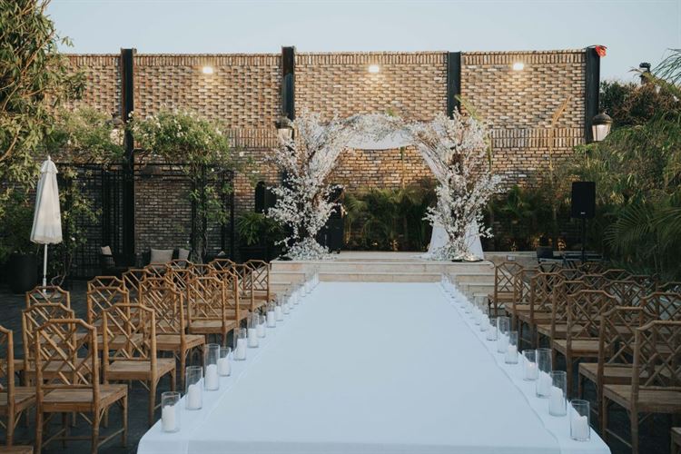 צילום: ברנדו צלמים