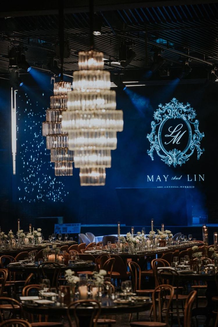 צילום: ברנדו צלמים