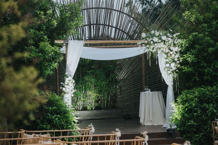 צילום: ברנדו צלמים