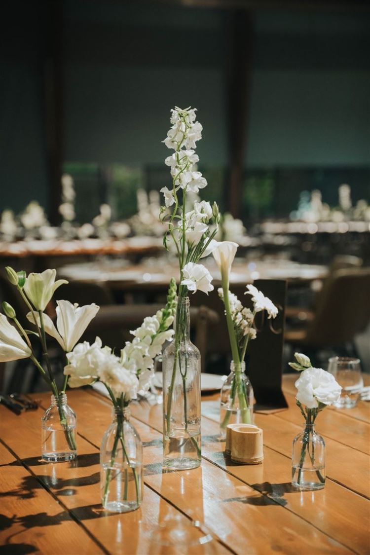 צילום: ברנדו צלמים