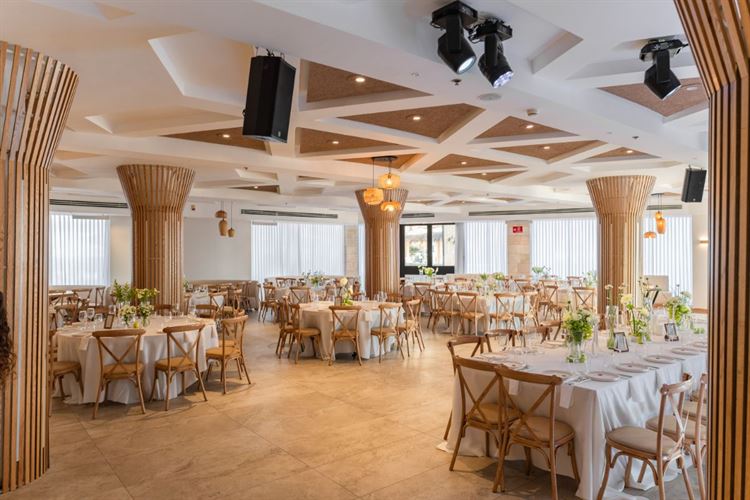 צילום: וואלה מזל טוב