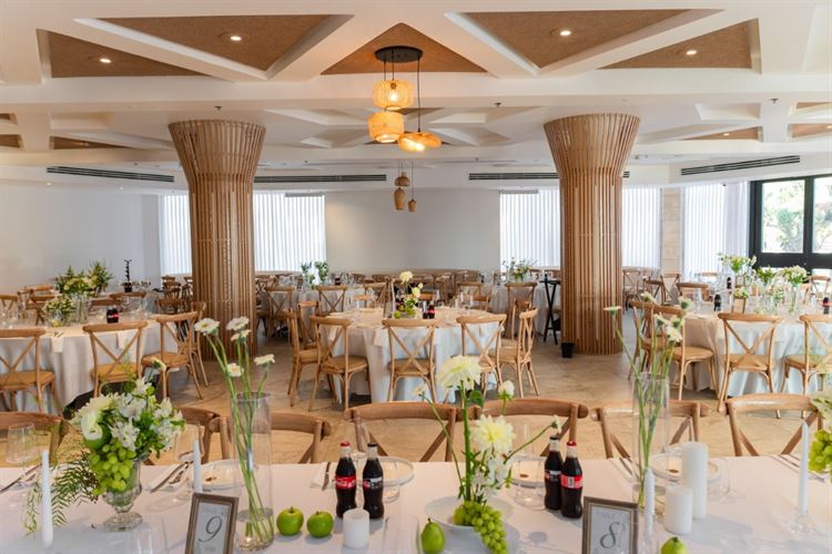 צילום: וואלה מזל טוב