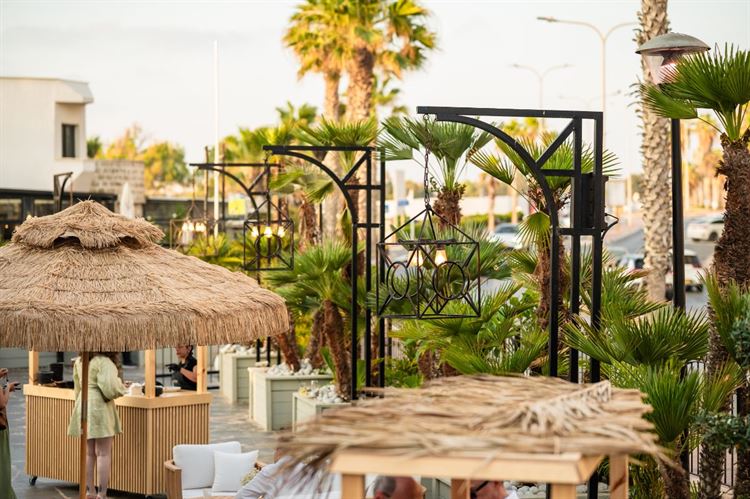 צילום: וואלה מזל טוב