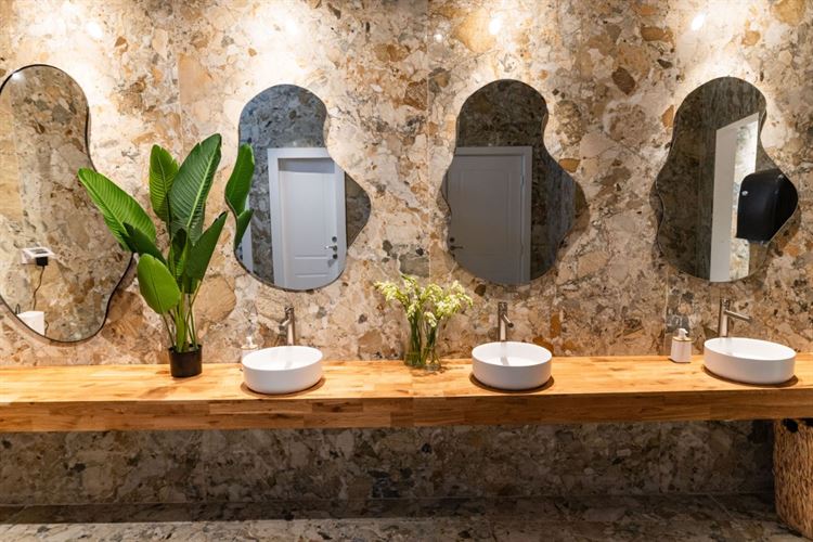 צילום: וואלה מזל טוב