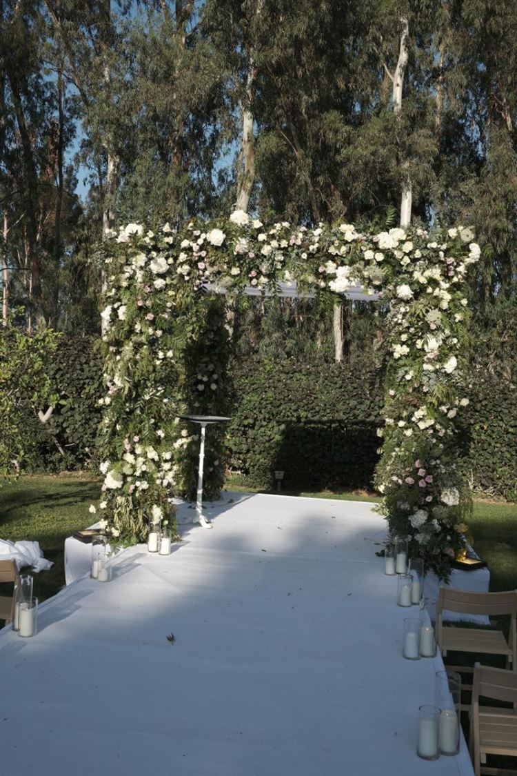 צילום: שר סושיאל