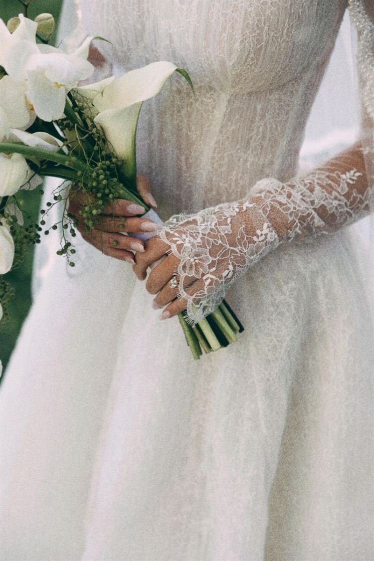 צילום: שר סושיאל