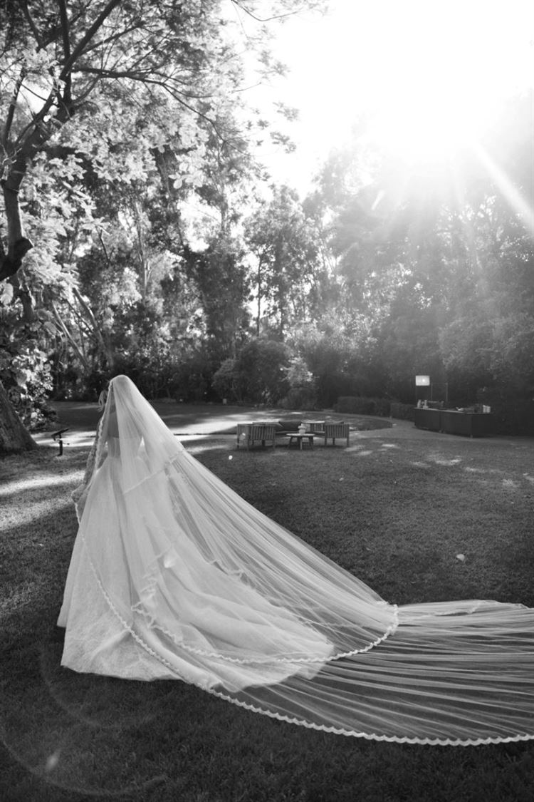 צילום: עידן חסון