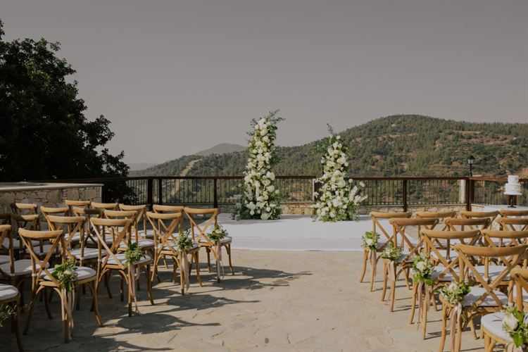 צילום: חן לוי