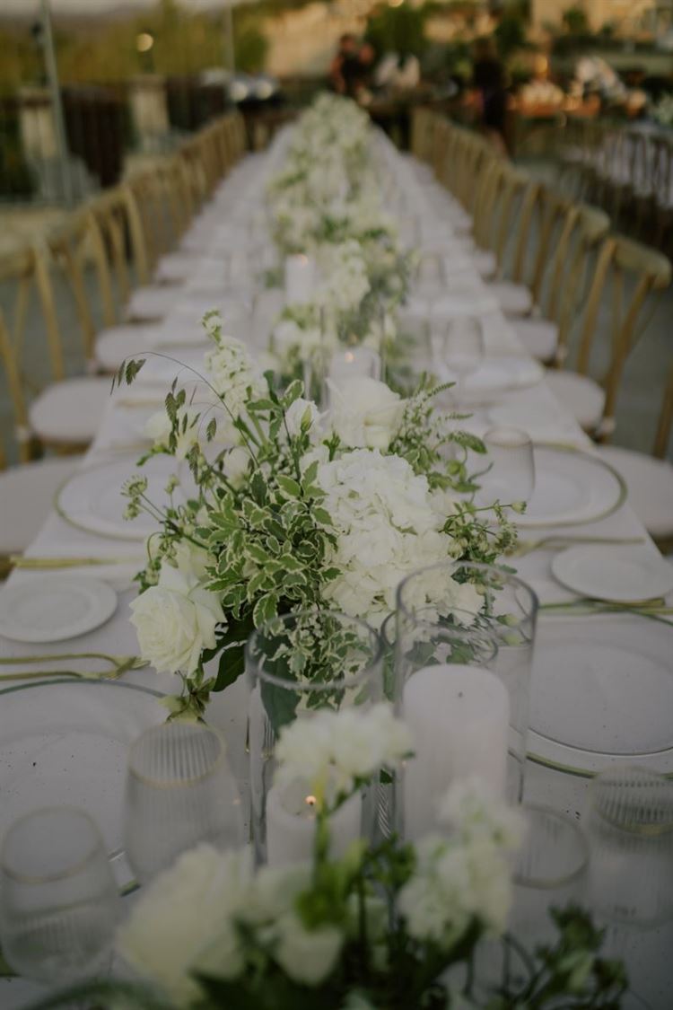 צילום: חן לוי