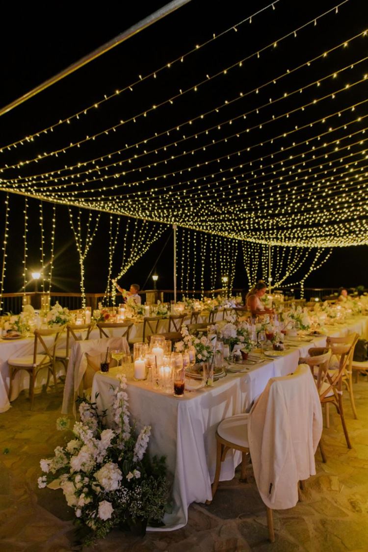 צילום: חן לוי