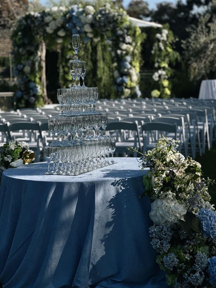 צילום: עומר סבח