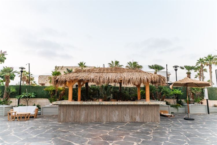 צילום: וואלה מזל טוב