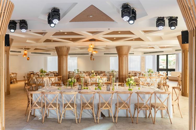 צילום: וואלה מזל טוב