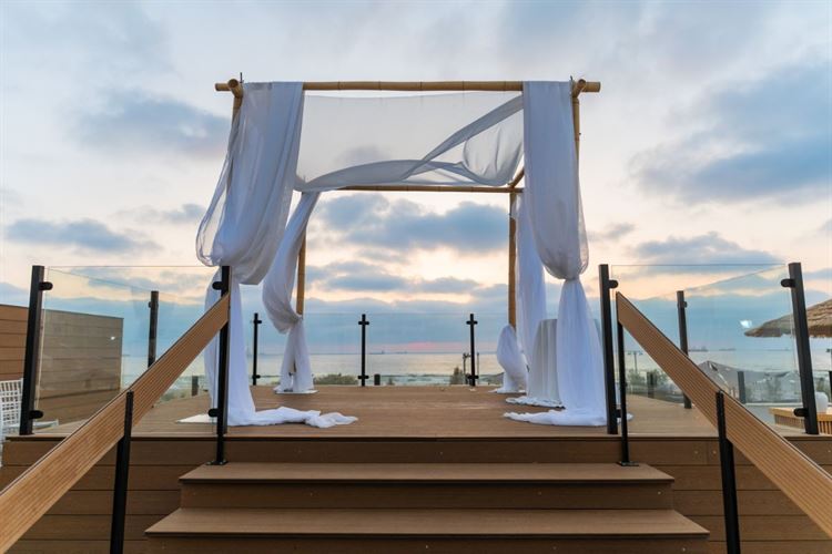 צילום: וואלה מזל טוב