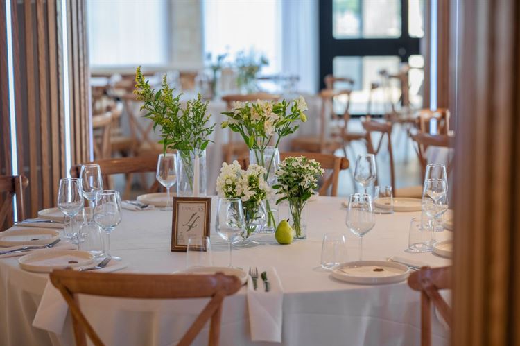 צילום: וואלה מזל טוב