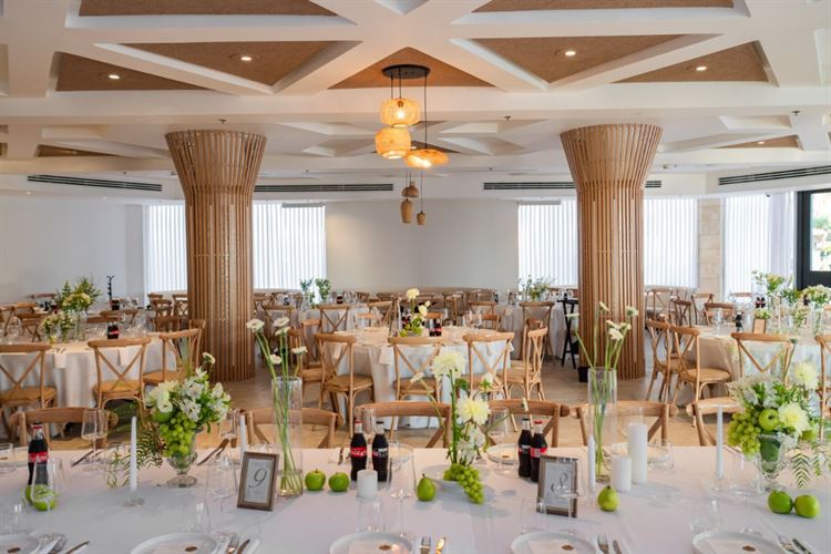 צילום: וואלה מזל טוב