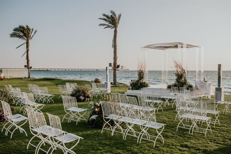 צילום: עידן חסון