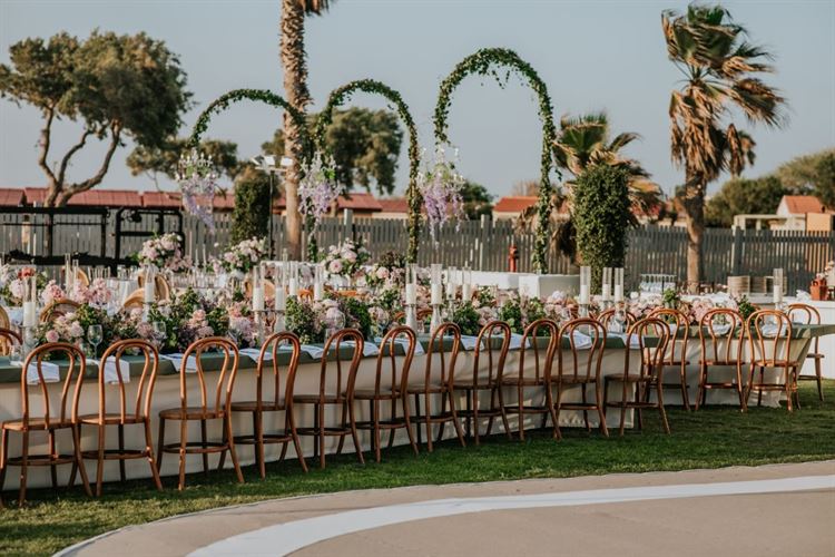 צילום: עידן חסון