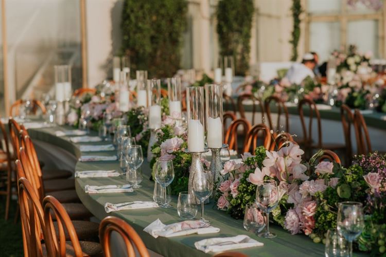 צילום: עידן חסון