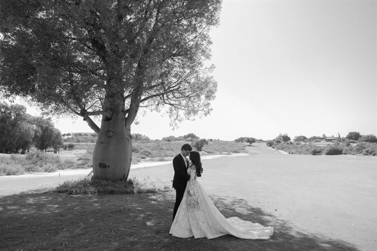 צילום: עידן חסון