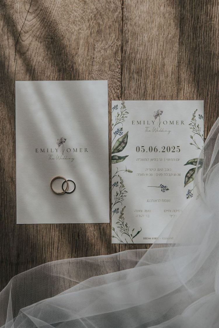 צילום: עידן חסון