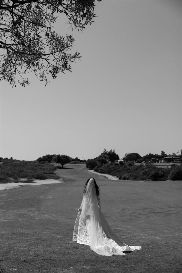 צילום: עידן חסון