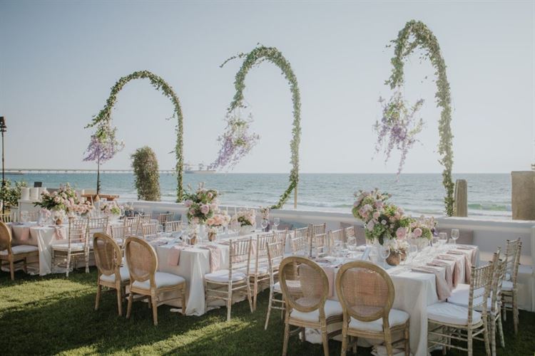 צילום: עידן חסון