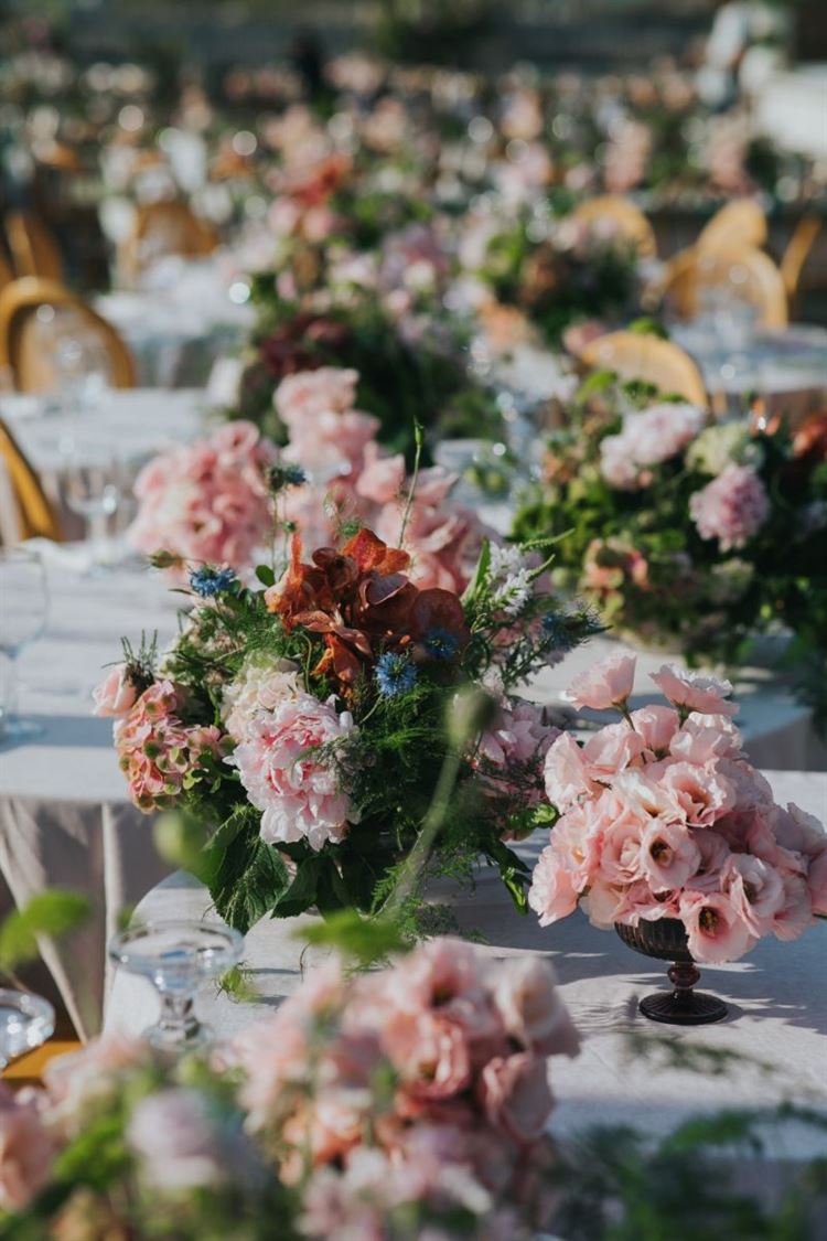 צילום: עידן חסון