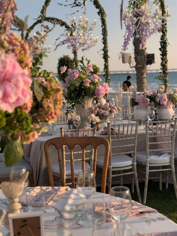 צילום: איילת להט