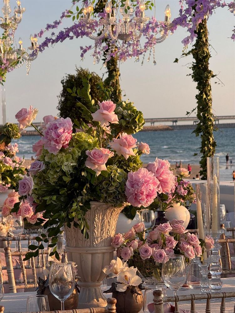 צילום: איילת להט