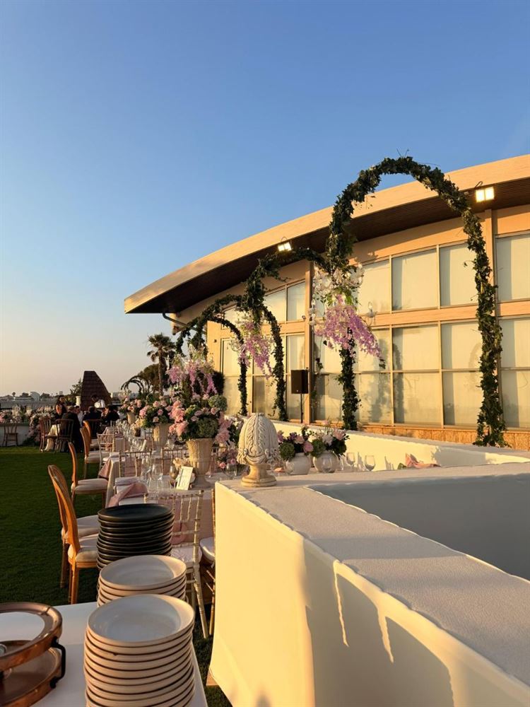 צילום: איילת להט