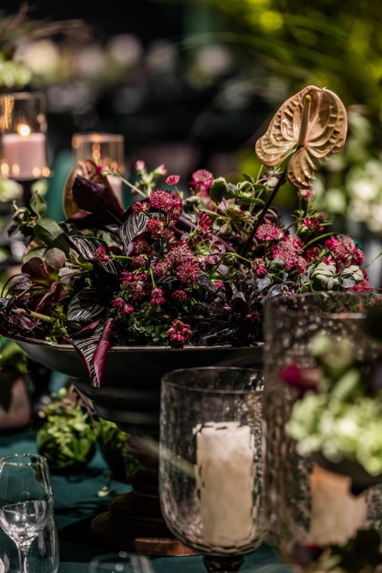 צילום: Marvin Photography‎