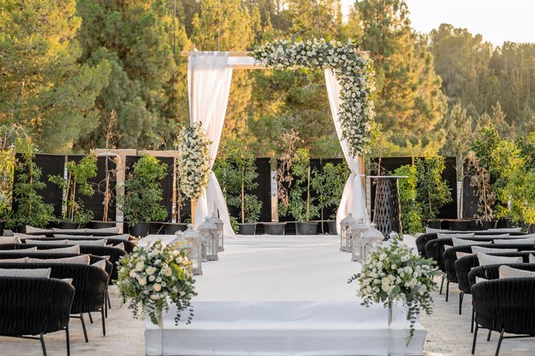 צילום: וואלה מזל טוב