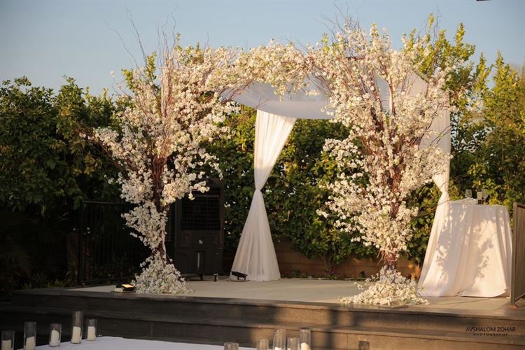 צילום: אבשלום זוהר