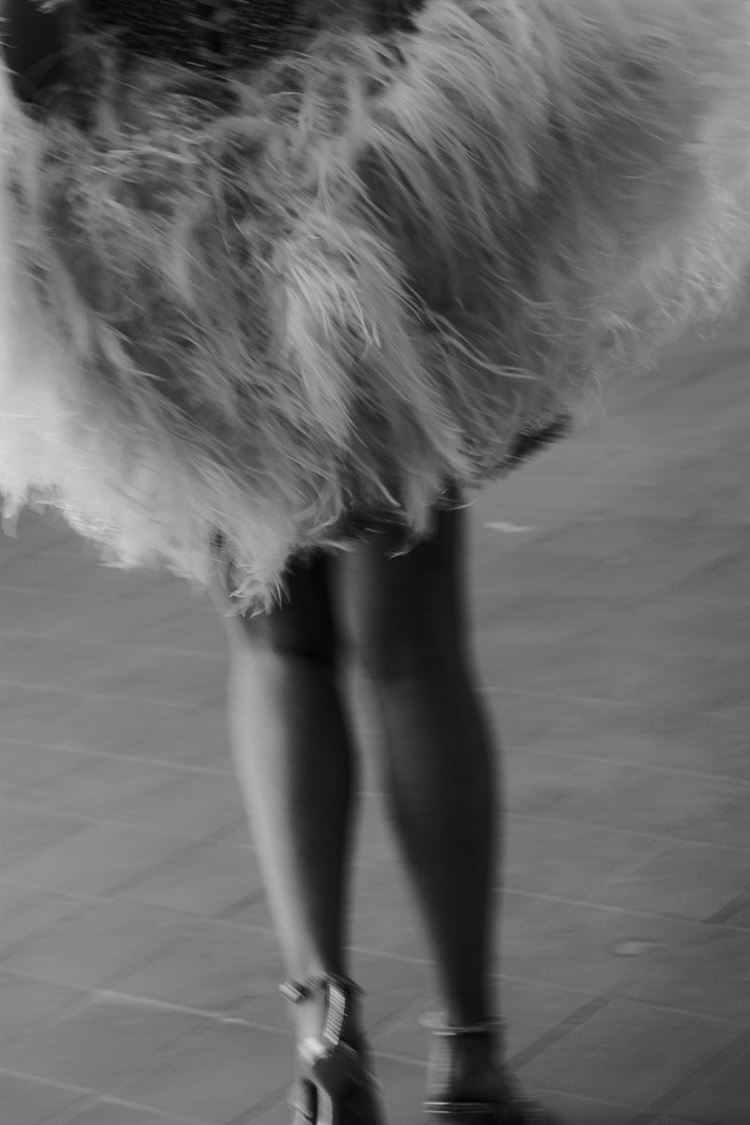 צילום: סהר מלול